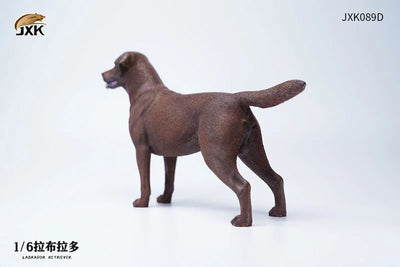 1/6 Labrador Dㅤ – JXK Studio – ActionFigureBrasil — ângulo diferente