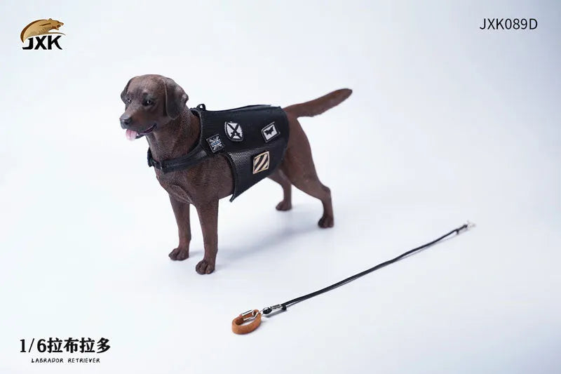 1/6 Labrador Dㅤ – JXK Studio – ActionFigureBrasil