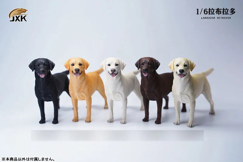 1/6 Labrador Dㅤ – JXK Studio – ActionFigureBrasil