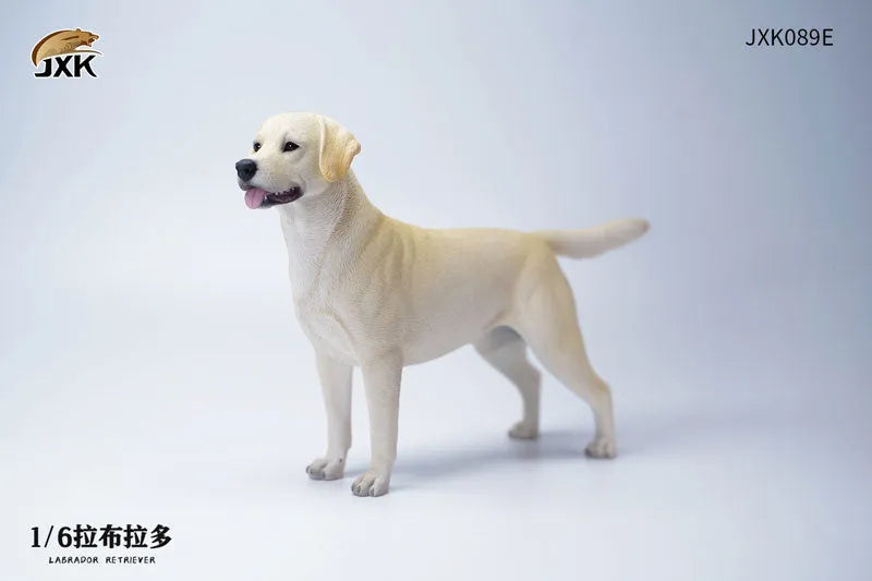 1/6 Labrador Eㅤ – JXK Studio – ActionFigureBrasil