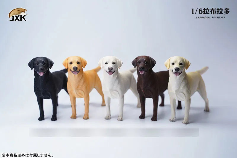 1/6 Labrador Eㅤ – JXK Studio – ActionFigureBrasil