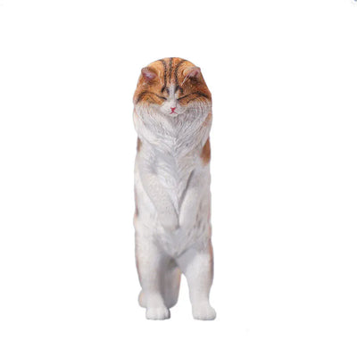 1/6 Maine Coon Aㅤ – JXK Studio – ActionFigureBrasil