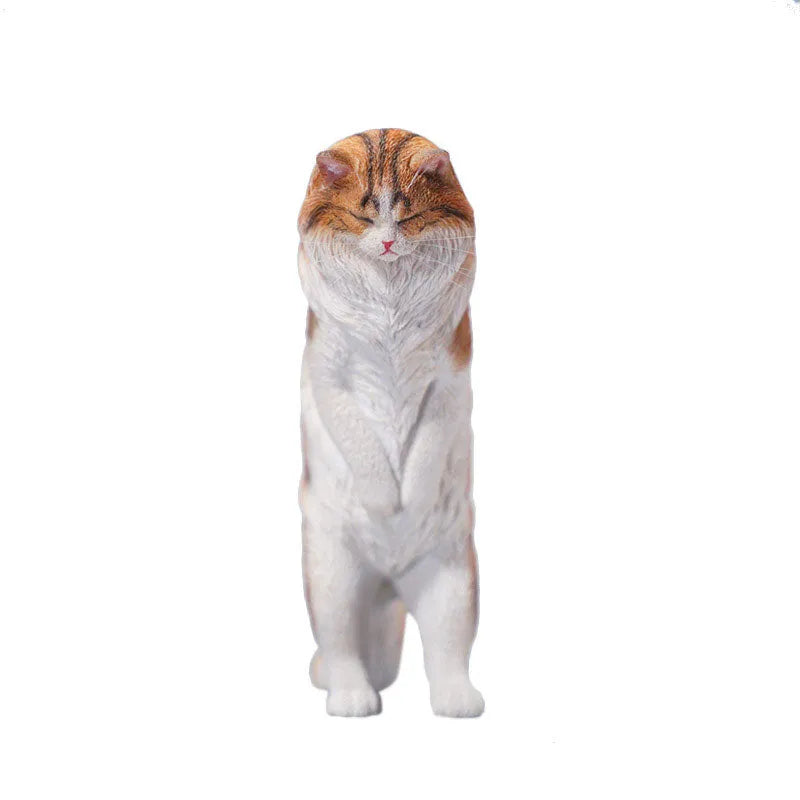 1/6 Maine Coon Aㅤ – JXK Studio – ActionFigureBrasil