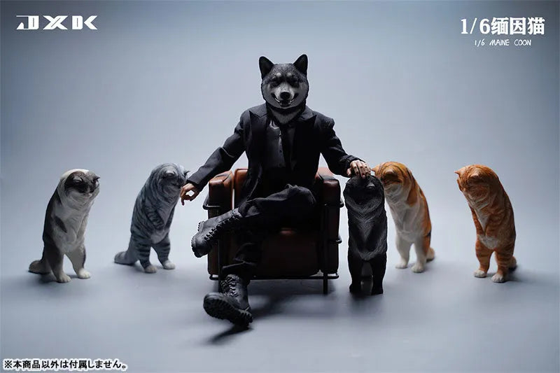 1/6 Maine Coon Aㅤ – JXK Studio – ActionFigureBrasil