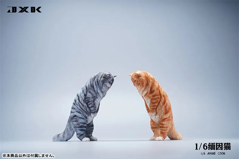 1/6 Maine Coon Bㅤ – JXK Studio – ActionFigureBrasil