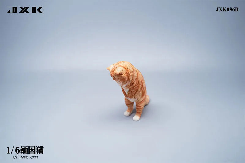 1/6 Maine Coon Bㅤ – JXK Studio – ActionFigureBrasil