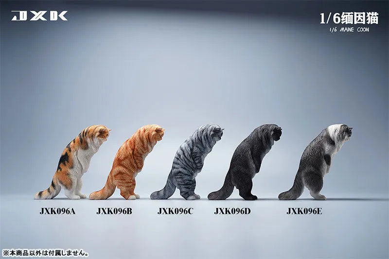 1/6 Maine Coon Bㅤ – JXK Studio – ActionFigureBrasil