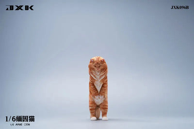 1/6 Maine Coon Bㅤ – JXK Studio – ActionFigureBrasil — acessórios