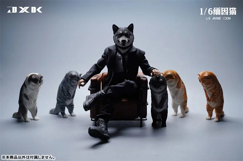 1/6 Maine Coon Cㅤ – JXK Studio – ActionFigureBrasil