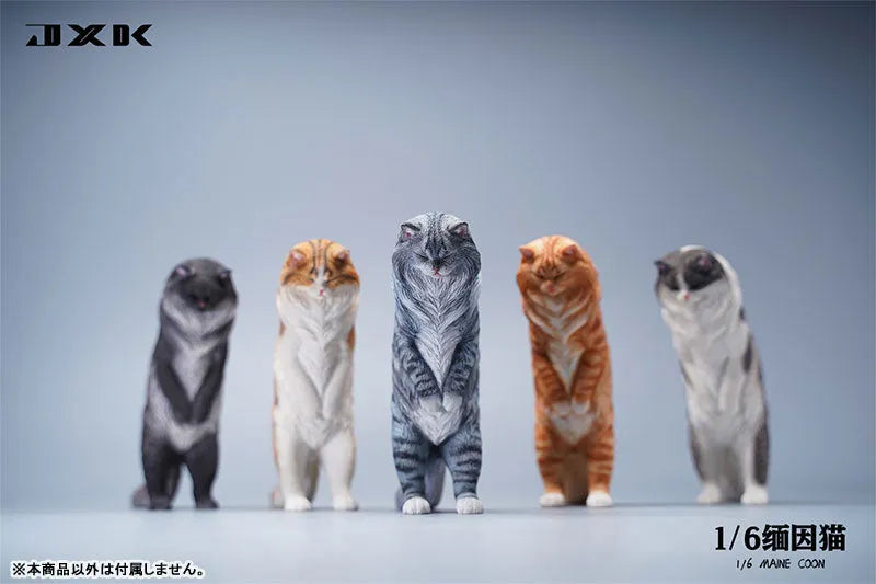 1/6 Maine Coon Cㅤ – JXK Studio – ActionFigureBrasil