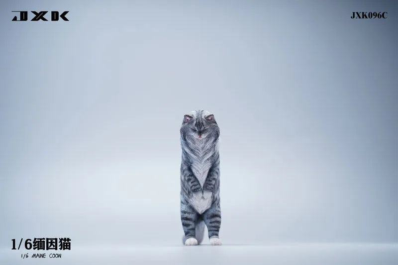 1/6 Maine Coon Cㅤ – JXK Studio – ActionFigureBrasil