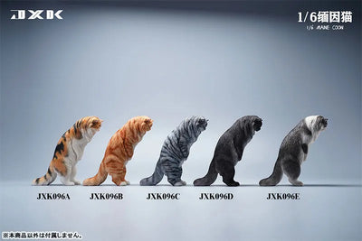 1/6 Maine Coon Cㅤ – JXK Studio – ActionFigureBrasil — acessórios