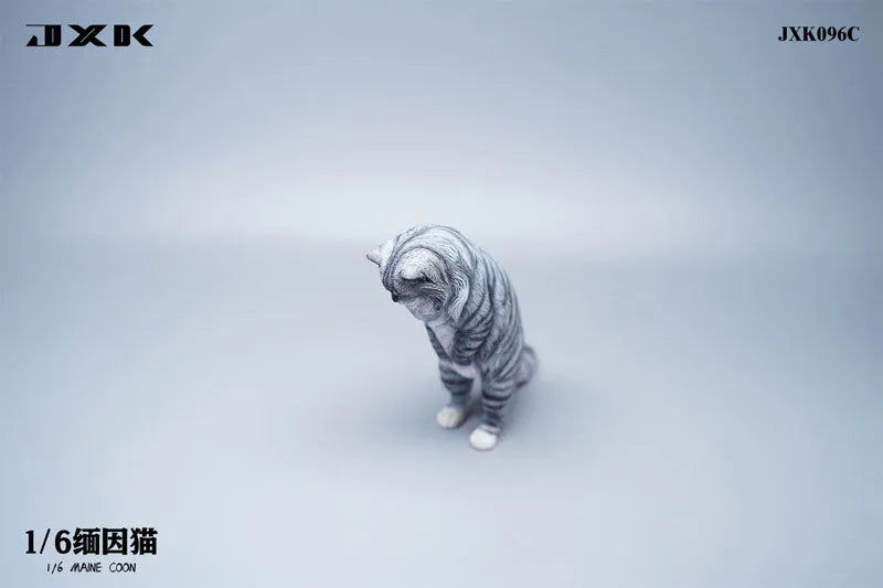 1/6 Maine Coon Cㅤ – JXK Studio – ActionFigureBrasil