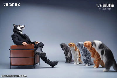 1/6 Maine Coon Cㅤ – JXK Studio – ActionFigureBrasil — com base expositora