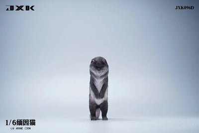 1/6 Maine Coon Dㅤ – JXK Studio – ActionFigureBrasil — ângulo diferente