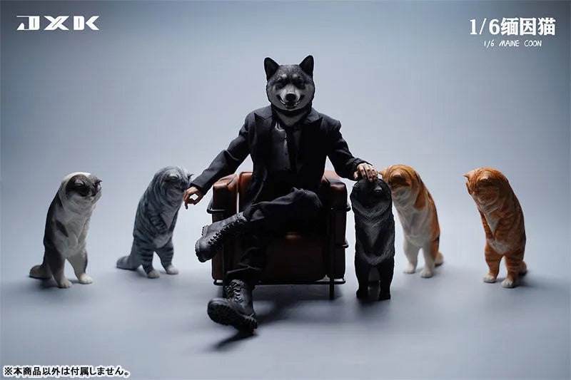 1/6 Maine Coon Dㅤ – JXK Studio – ActionFigureBrasil