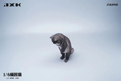 1/6 Maine Coon Dㅤ – JXK Studio – ActionFigureBrasil — acessórios