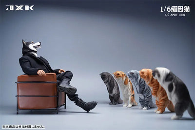 1/6 Maine Coon Dㅤ – JXK Studio – ActionFigureBrasil — com base expositora