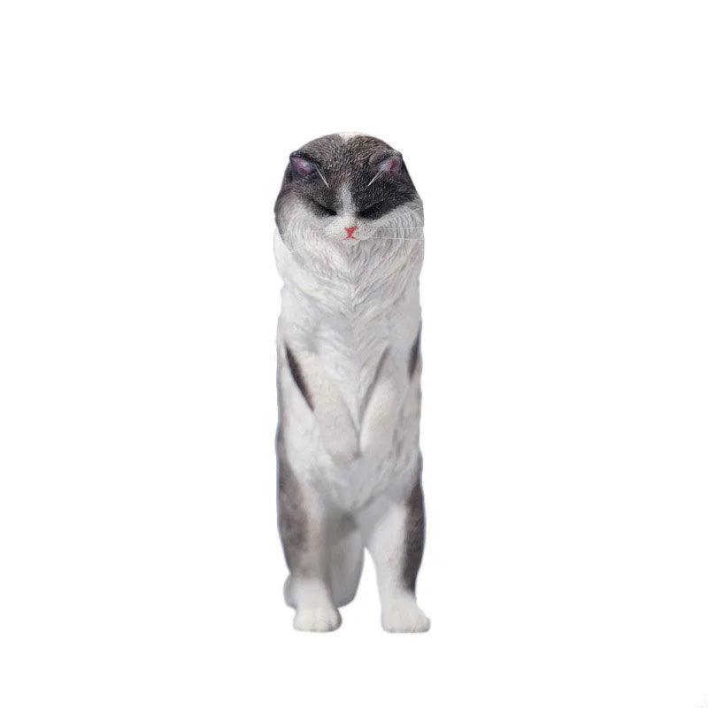 1/6 Maine Coon Eㅤ – JXK Studio – ActionFigureBrasil