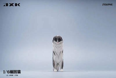 1/6 Maine Coon Eㅤ – JXK Studio – ActionFigureBrasil — close