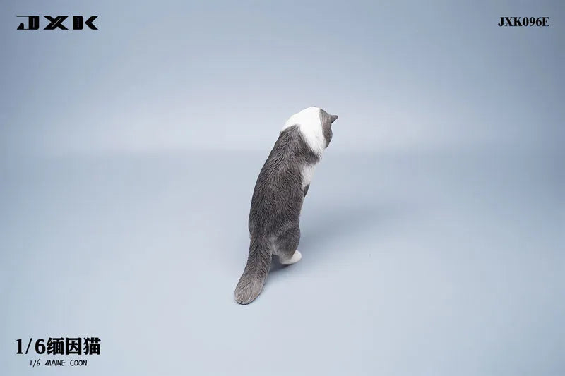 1/6 Maine Coon Eㅤ – JXK Studio – ActionFigureBrasil