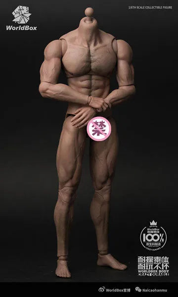 1/6 Male Basic Body Tall Massive Ripped(Provisional Pre-order)ㅤ – WORLD BOX – ActionFigure Brasil — detalhe do produto