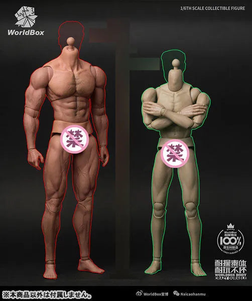 1/6 Male Basic Body Tall Massive Ripped(Provisional Pre-order)ㅤ – WORLD BOX – ActionFigure Brasil — detalhe do produto