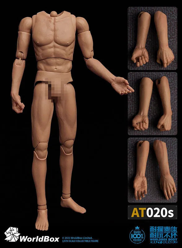 1/6 Male Body Universal Specifications Combined Forearmㅤ – WORLD BOX – ActionFigureBrasil