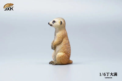 1/6 Meerkatㅤ – JXK Studio – ActionFigureBrasil — detalhe do produto