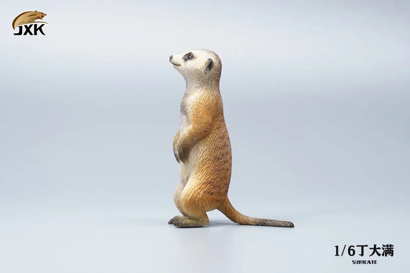 1/6 Meerkatㅤ – JXK Studio – ActionFigureBrasil