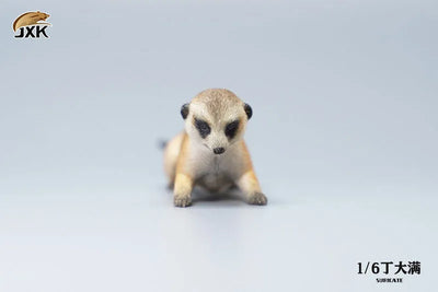 1/6 Meerkatㅤ – JXK Studio – ActionFigureBrasil — embalagem
