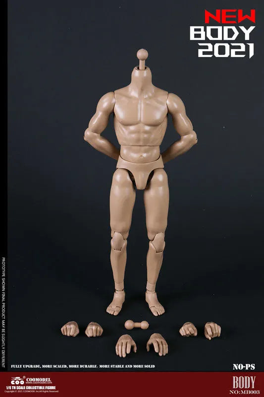 1/6 New Type Muscular Male Body (Plain)ㅤ – Coomodel – ActionFigureBrasil