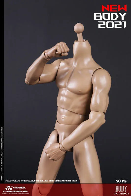 1/6 New Type Muscular Male Body (Plain)ㅤ – Coomodel – ActionFigureBrasil