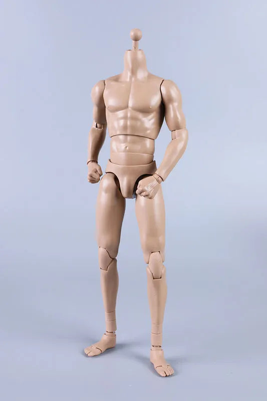 1/6 New Type Tall Muscular Male Body (Plain)ㅤ – Coomodel – ActionFigureBrasil