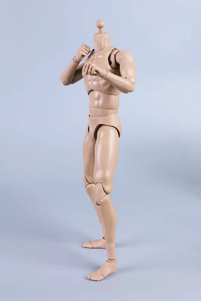 1/6 New Type Tall Standard Male Body (Plain)ㅤ – Coomodel – ActionFigureBrasil — detalhe do produto
