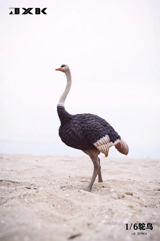 1/6 Ostrich A1ㅤ – JXK Studio – ActionFigureBrasil