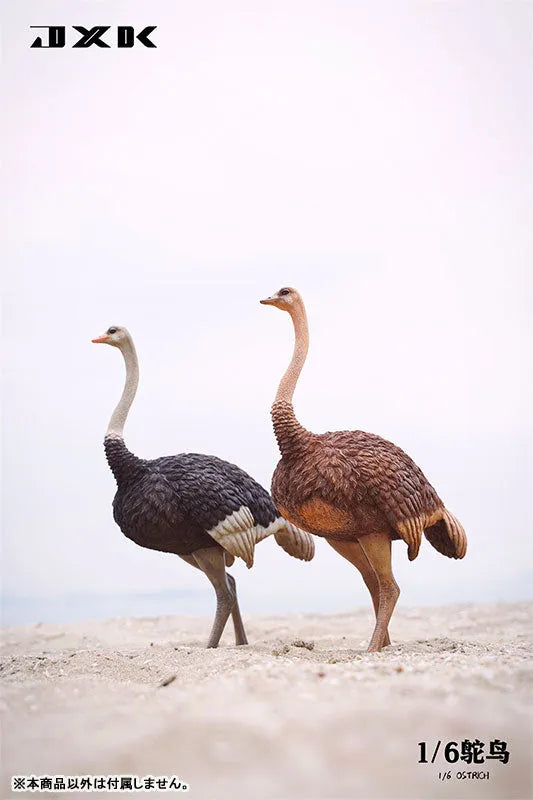 1/6 Ostrich A1ㅤ – JXK Studio – ActionFigureBrasil