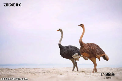 1/6 Ostrich A1ㅤ – JXK Studio – ActionFigureBrasil — embalagem