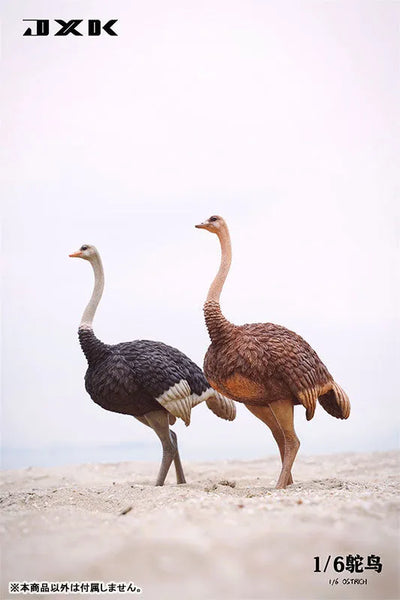 1/6 Ostrich B1ㅤ – JXK Studio – ActionFigureBrasil — detalhe do produto