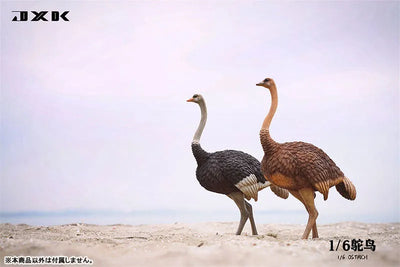 1/6 Ostrich B1ㅤ – JXK Studio – ActionFigureBrasil — close