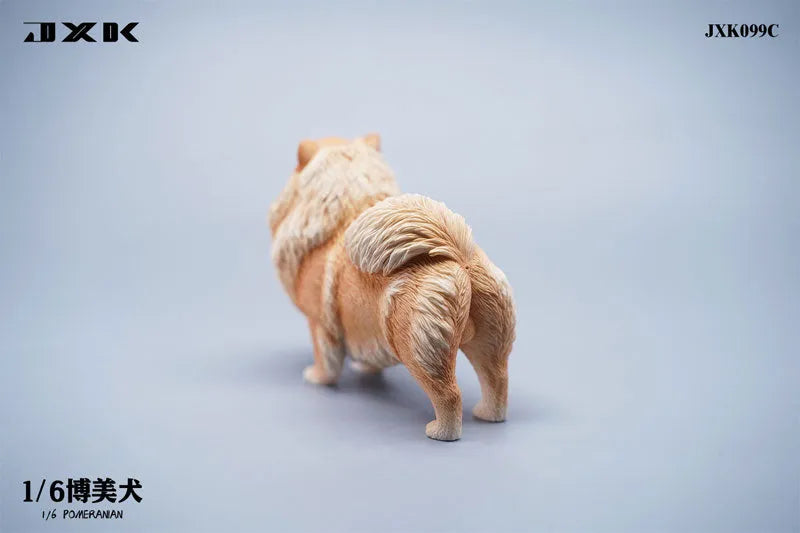 1/6 Pomeranian Cㅤ – JXK Studio – ActionFigureBrasil