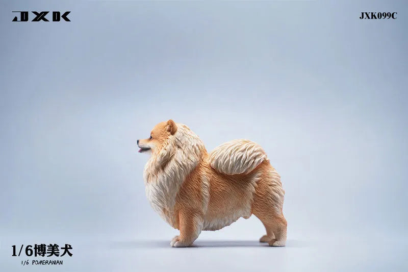 1/6 Pomeranian Cㅤ – JXK Studio – ActionFigureBrasil