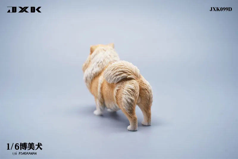 1/6 Pomeranian Dㅤ – JXK Studio – ActionFigureBrasil