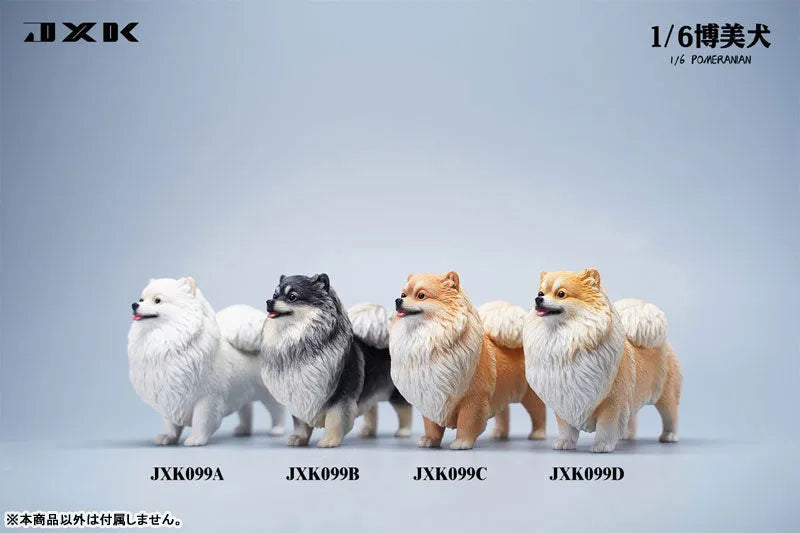 1/6 Pomeranian Dㅤ – JXK Studio – ActionFigureBrasil