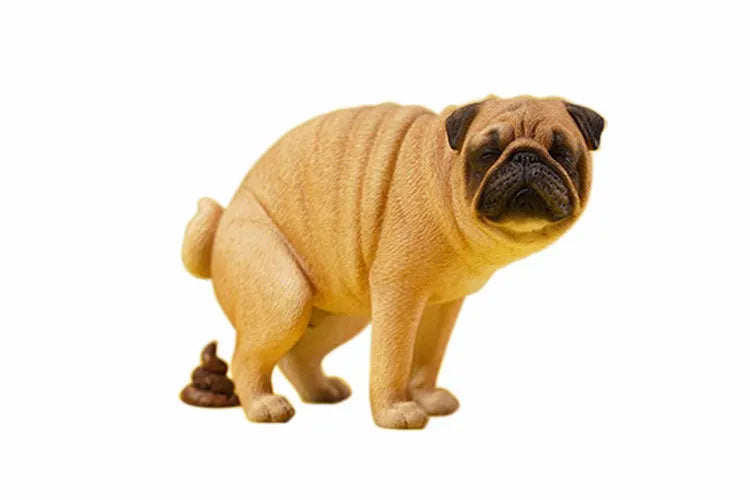 1/6 Pug Half Squat Aㅤ – JXK Studio – ActionFigureBrasil