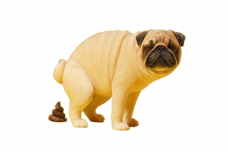 1/6 Pug Half Squat Bㅤ – JXK Studio – ActionFigureBrasil