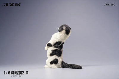 1/6 Scottish Fold 2.0 Cㅤ – JXK Studio – ActionFigureBrasil — embalagem