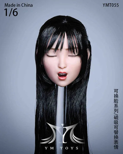 1/6 Sexy Beauty Head 55 w/Alternative Face Partㅤ – YM Toys – ActionFigureBrasil
