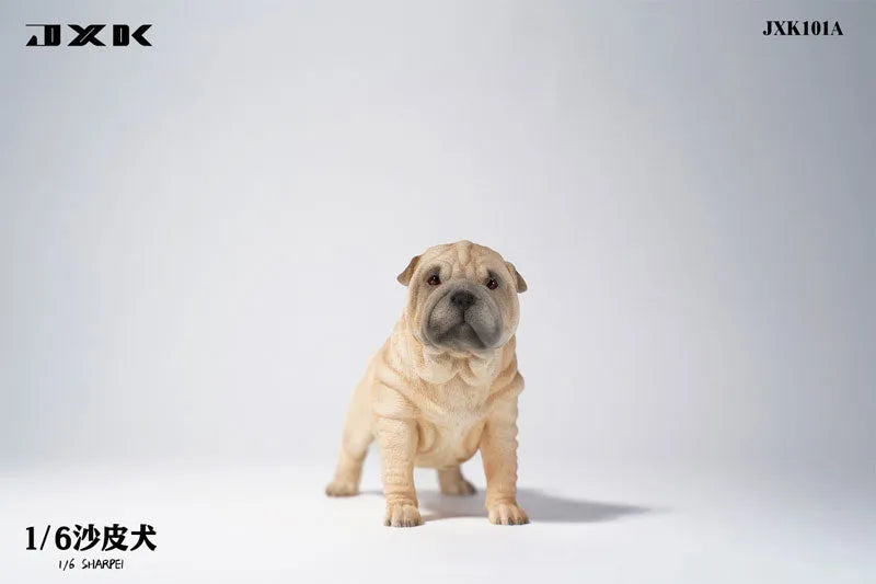 1/6 Shar Pei Aㅤ – JXK Studio – ActionFigureBrasil