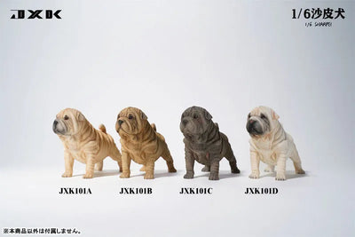 1/6 Shar Pei Aㅤ – JXK Studio – ActionFigureBrasil — acessórios